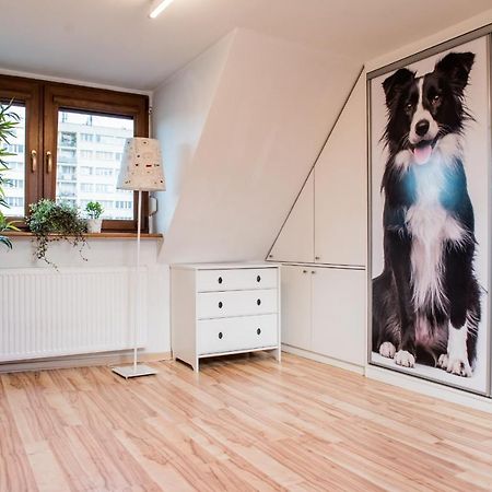 Apartament Lux-Centrum 格利维采 外观 照片