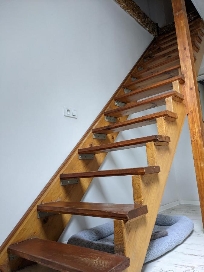 Apartament Lux-Centrum 格利维采 外观 照片